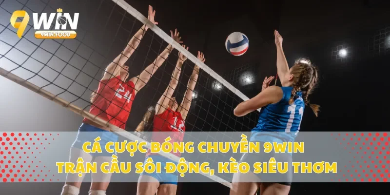 Cá Cược Bóng Chuyền 9Win – Trận Cầu Sôi Động, Kèo Siêu Thơm