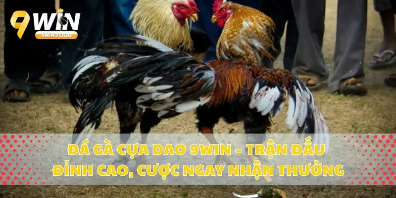 Đá Gà Cựa Dao 9Win – Trận Đấu Đỉnh Cao, Cược Ngay Nhận Thưởng