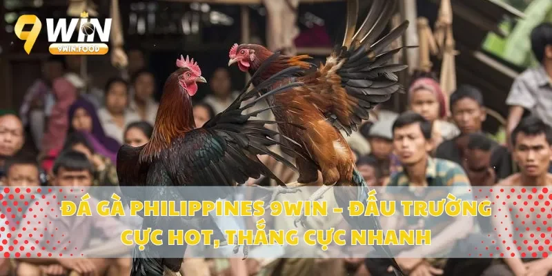 Đá Gà Philippines 9Win – Đấu Trường Cực Hot, Thắng Cực Nhanh