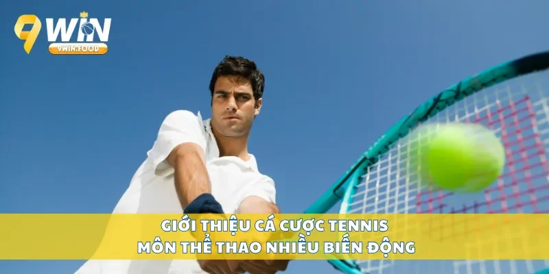 Giới thiệu cá cược tennis môn thể thao nhiều biến động