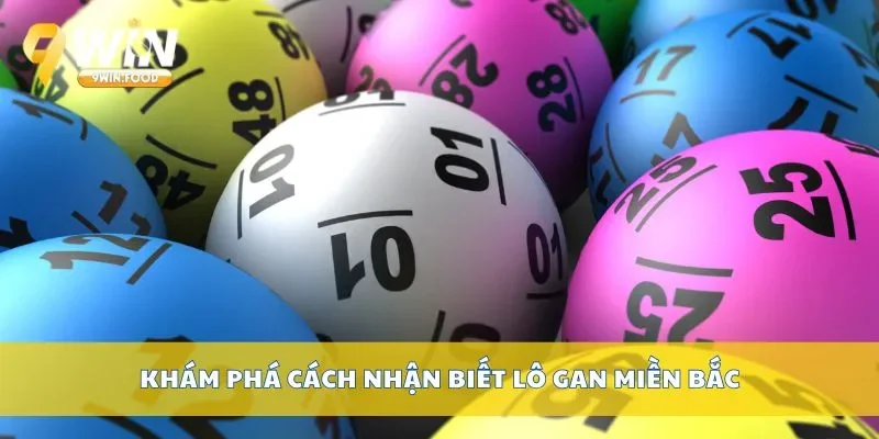 Khám phá cách nhận biết lô gan miền Bắc