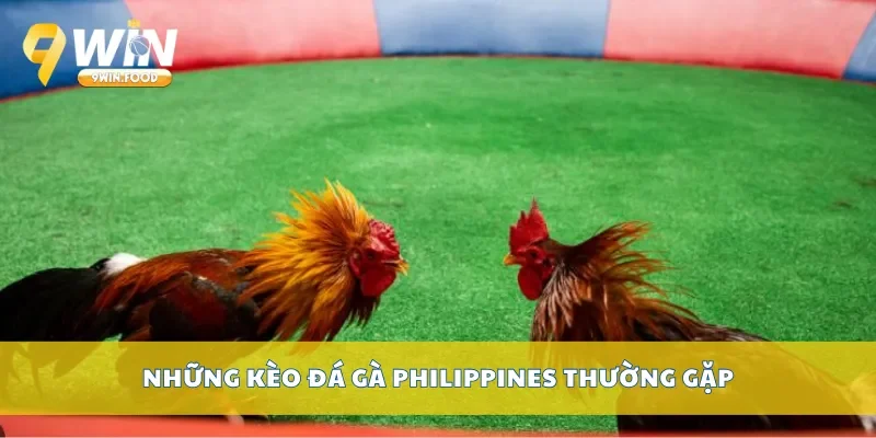 Những kèo đá gà Philippines thường gặp